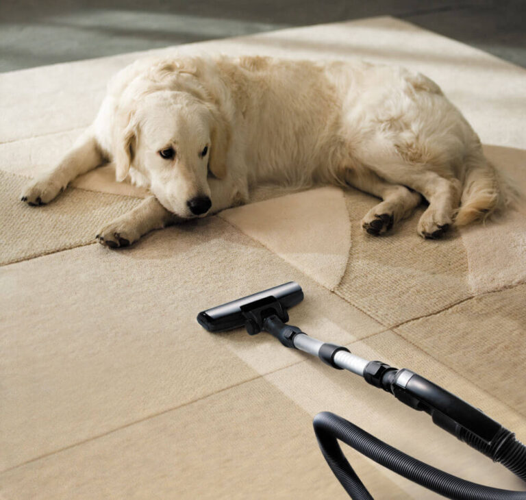 Pet Stains & Odor Treatment