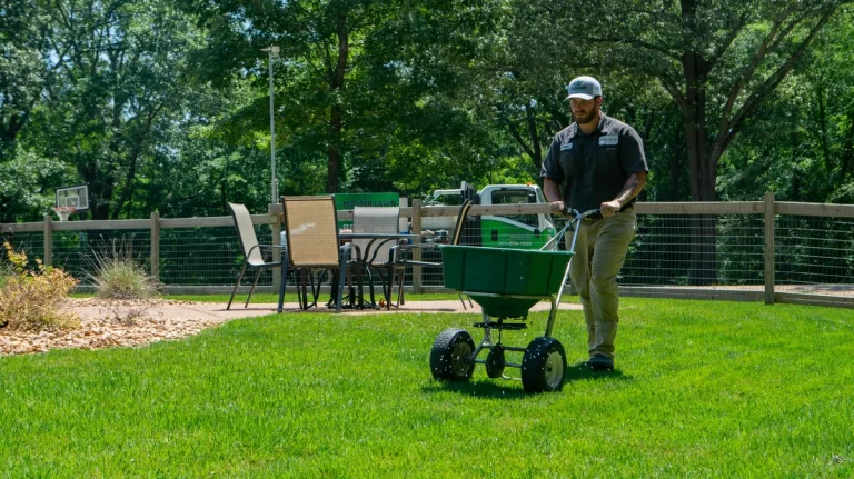How Long Do You Have to Stay off the Grass After a Lawn Treatment