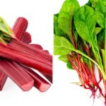 Is Rhubarb The Same As Swiss Chard