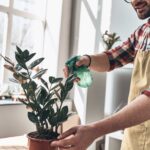 What Plants Are Sensitive To Rubbing Alcohol